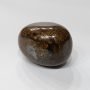 Bronzite Tumbles Big